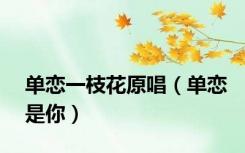 单恋一枝花原唱（单恋是你）