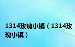 1314玫瑰小镇（1314玫瑰小镇）