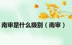 南审是什么级别（南审）