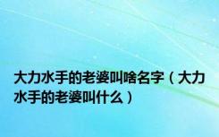 大力水手的老婆叫啥名字（大力水手的老婆叫什么）