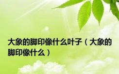 大象的脚印像什么叶子（大象的脚印像什么）