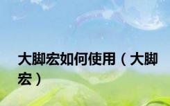 大脚宏如何使用（大脚宏）