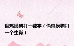 偷鸡摸狗打一数字（偷鸡摸狗打一个生肖）