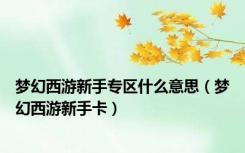 梦幻西游新手专区什么意思（梦幻西游新手卡）