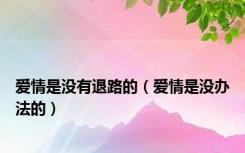 爱情是没有退路的（爱情是没办法的）