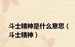 斗士精神是什么意思（斗士精神）