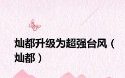 灿都升级为超强台风（灿都）