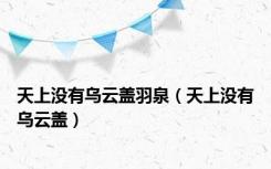 天上没有乌云盖羽泉（天上没有乌云盖）