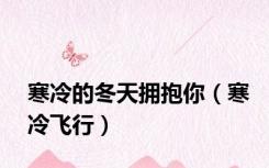 寒冷的冬天拥抱你（寒冷飞行）