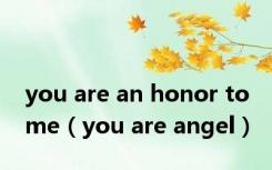 you are an honor to me（you are angel）