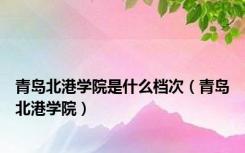 青岛北港学院是什么档次（青岛北港学院）