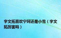 宇文拓喜欢宁珂还是小雪（宇文拓厉害吗）