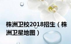 株洲卫校2018招生（株洲卫星地图）