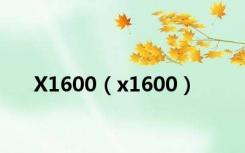 X1600（x1600）