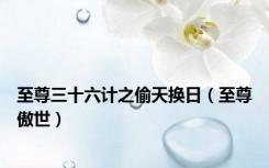至尊三十六计之偷天换日（至尊傲世）