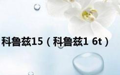 科鲁兹15（科鲁兹1 6t）