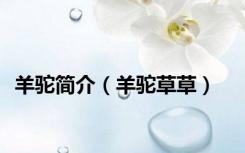 羊驼简介（羊驼草草）