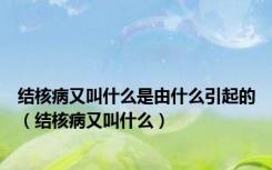 结核病又叫什么是由什么引起的（结核病又叫什么）