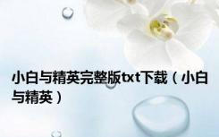小白与精英完整版txt下载（小白与精英）