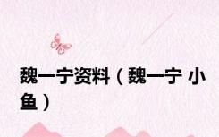 魏一宁资料（魏一宁 小鱼）