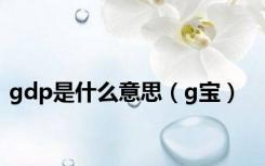 gdp是什么意思（g宝）