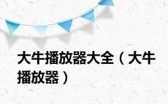 大牛播放器大全（大牛播放器）