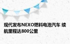 现代发布NEXO燃料电池汽车 续航里程达800公里 