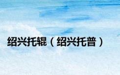 绍兴托辊（绍兴托普）