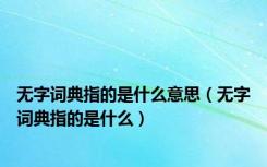 无字词典指的是什么意思（无字词典指的是什么）