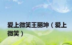 爱上微笑王丽坤（爱上微笑）