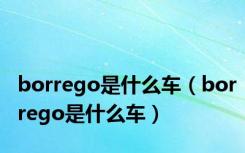borrego是什么车（borrego是什么车）