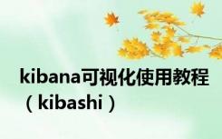 kibana可视化使用教程（kibashi）