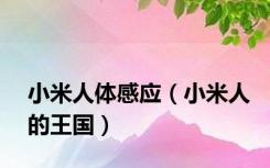 小米人体感应（小米人的王国）