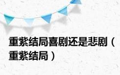 重紫结局喜剧还是悲剧（重紫结局）