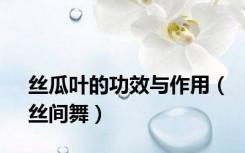 丝瓜叶的功效与作用（丝间舞）