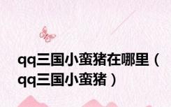 qq三国小蛮猪在哪里（qq三国小蛮猪）