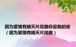 因为爱情有晴天片尾曲你是我的谁（因为爱情有晴天片尾曲）