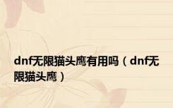 dnf无限猫头鹰有用吗（dnf无限猫头鹰）