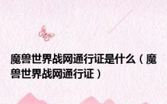 魔兽世界战网通行证是什么（魔兽世界战网通行证）
