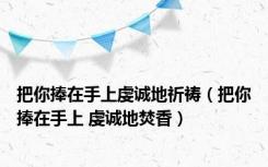 把你捧在手上虔诚地祈祷（把你捧在手上 虔诚地焚香）