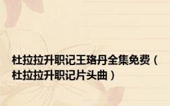 杜拉拉升职记王珞丹全集免费（杜拉拉升职记片头曲）