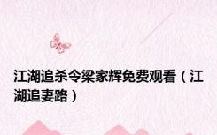 江湖追杀令梁家辉免费观看（江湖追妻路）