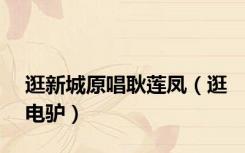 逛新城原唱耿莲凤（逛电驴）