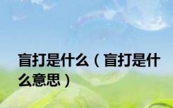 盲打是什么（盲打是什么意思）