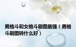 男格斗和女格斗刷图最强（男格斗刷图转什么好）