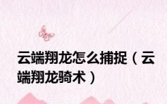 云端翔龙怎么捕捉（云端翔龙骑术）