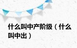 什么叫中产阶级（什么叫中出）