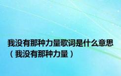 我没有那种力量歌词是什么意思（我没有那种力量）