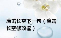 鹰击长空下一句（鹰击长空修改器）