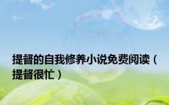 提督的自我修养小说免费阅读（提督很忙）